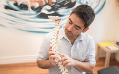 La columna vertebral es como un garaje